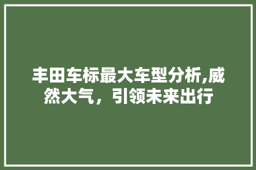 丰田车标最大车型分析,威然大气，引领未来出行