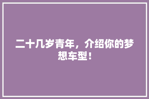 二十几岁青年，介绍你的梦想车型！