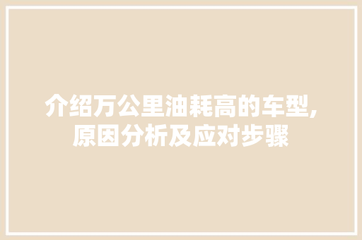 介绍万公里油耗高的车型,原因分析及应对步骤