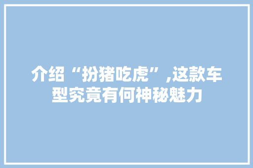 介绍“扮猪吃虎”,这款车型究竟有何神秘魅力