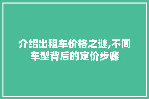 介绍出租车价格之谜,不同车型背后的定价步骤